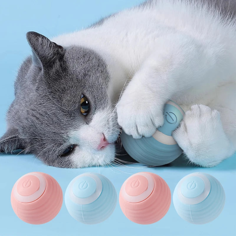 Interactive Play for Cats – Automatic Rolling Ball