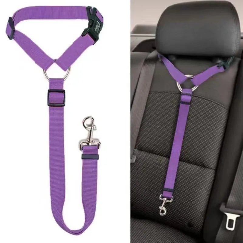 Travel with Peace of Mind – Pet Safety Belt