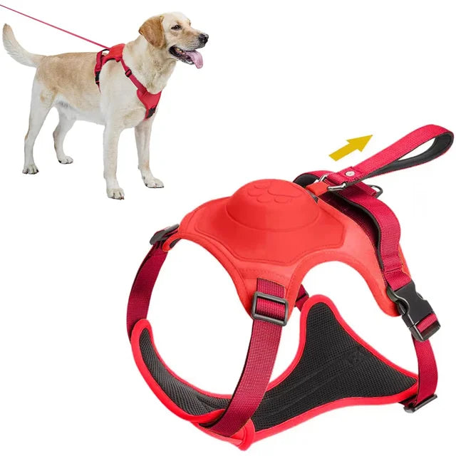 The Ultimate Dog Harness with Retractable Leash!