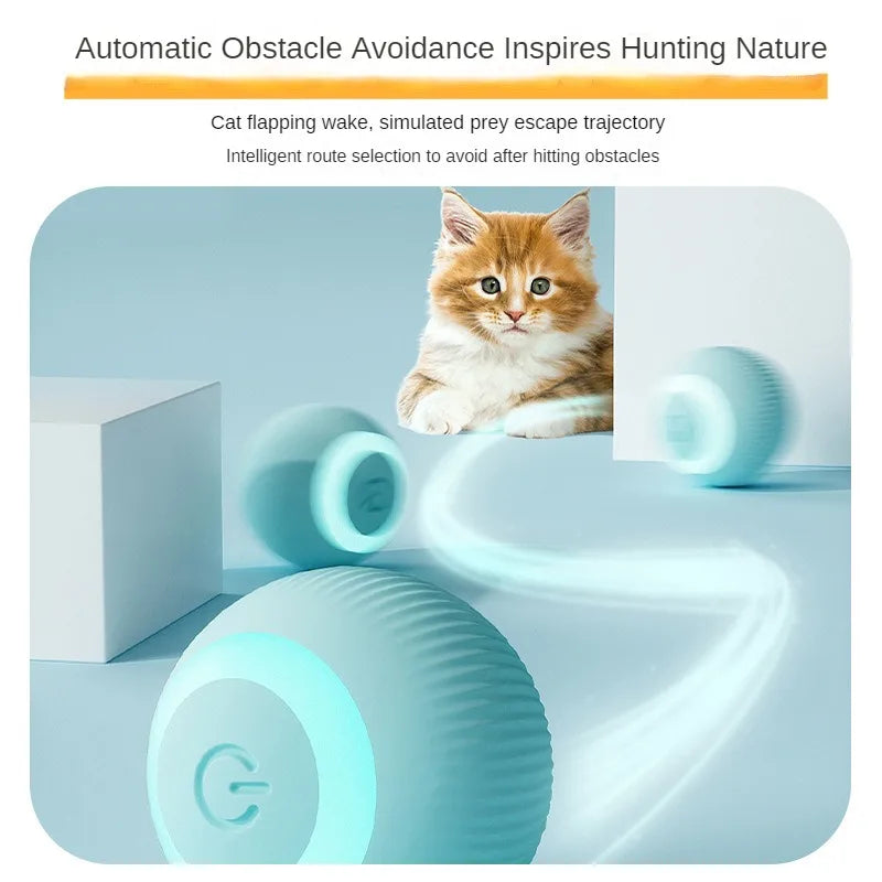 Interactive Play for Cats – Automatic Rolling Ball