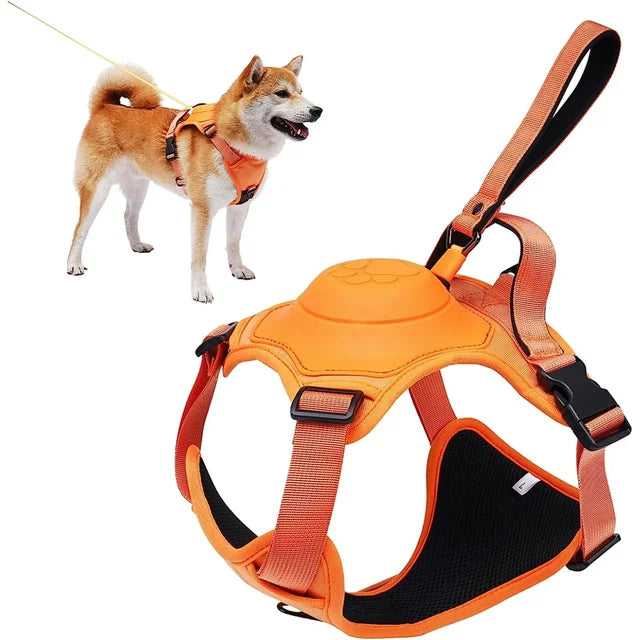 The Ultimate Dog Harness with Retractable Leash!