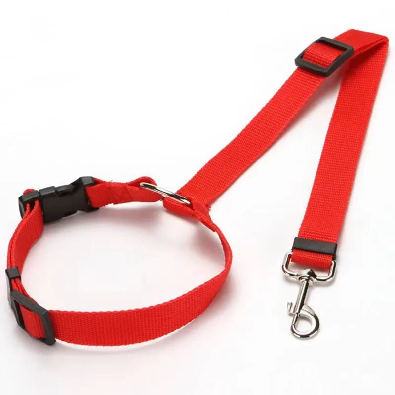 Travel with Peace of Mind – Pet Safety Belt