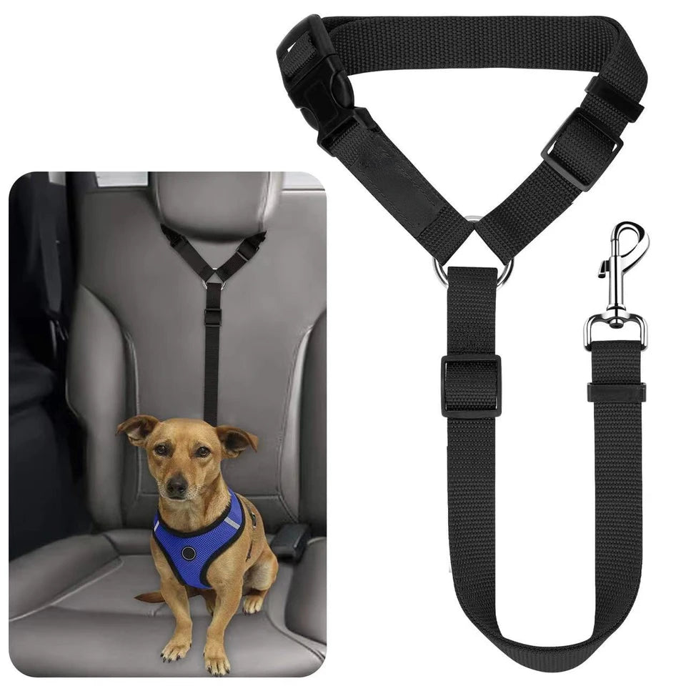 Travel with Peace of Mind – Pet Safety Belt